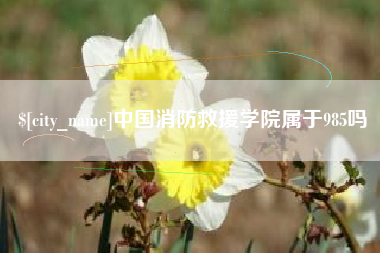 永康中国消防救援学院属于985吗