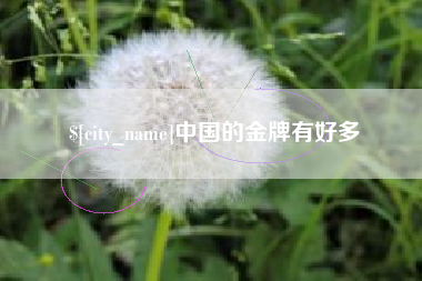 永康中国的金牌有好多