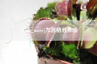 永康九宫格分布图