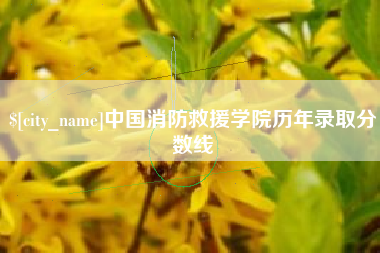 永康中国消防救援学院历年录取分数线
