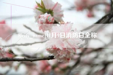 永康11月9日消防日全称