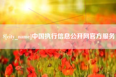 永康中国执行信息公开网官方服务