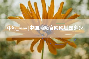 永康中国消防官网网址是多少
