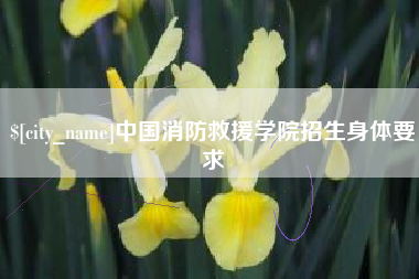 永康中国消防救援学院招生身体要求