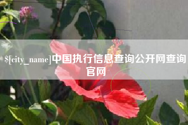 永康中国执行信息查询公开网查询官网