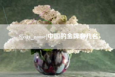 永康中国的金牌有几名