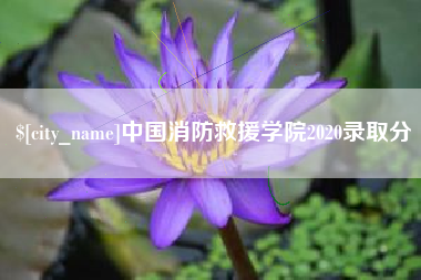 永康中国消防救援学院2020录取分