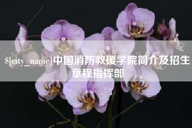 永康中国消防救援学院简介及招生章程指挥部