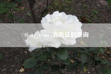 永康消防证的查询