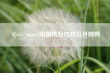 永康中国执行信息公开网网