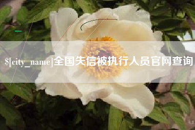 永康全国失信被执行人员官网查询