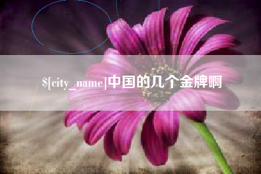 永康中国的几个金牌啊