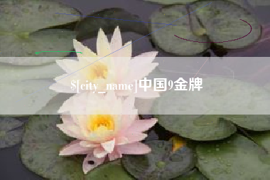 永康中国9金牌