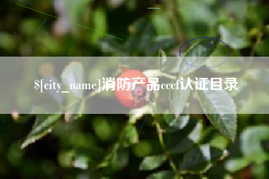永康消防产品cccf认证目录