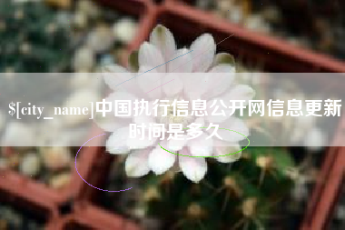 永康中国执行信息公开网信息更新时间是多久