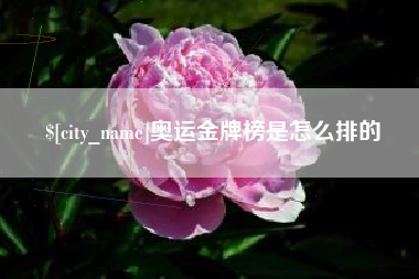 永康奥运金牌榜是怎么排的