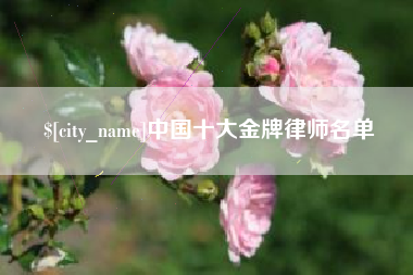 永康中国十大金牌律师名单