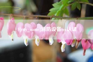 永康消防设备ccc认证