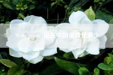 永康现在中国金牌是多少