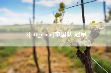 永康中国队 冠军