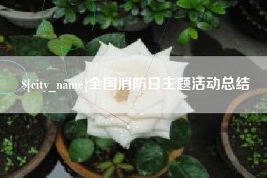 永康全国消防日主题活动总结