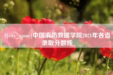 永康中国消防救援学院2021年各省录取分数线