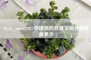永康2021中国消防救援学院分数线是多少