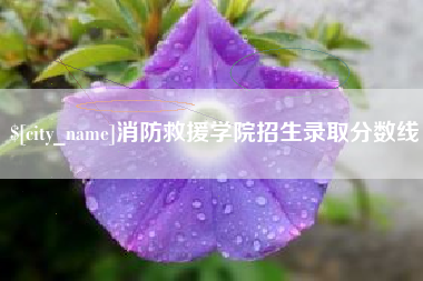 永康消防救援学院招生录取分数线