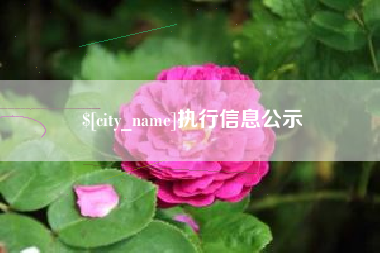 永康执行信息公示