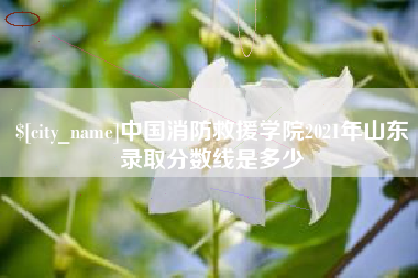 永康中国消防救援学院2021年山东录取分数线是多少