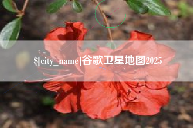 永康谷歌卫星地图2025
