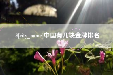 永康中国有几块金牌排名