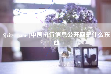 永康中国执行信息公开网是什么东西