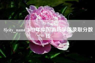 永康2021年中国消防学院录取分数线
