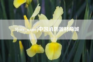 永康中国消防器材商城