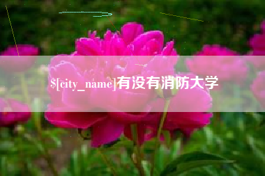 永康有没有消防大学