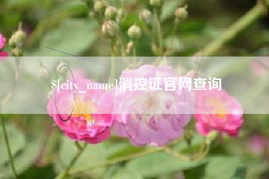 永康消控证官网查询