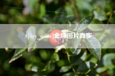 永康金牌图片真实
