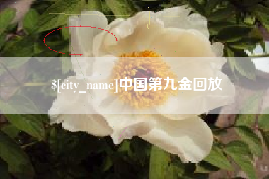 永康中国第九金回放