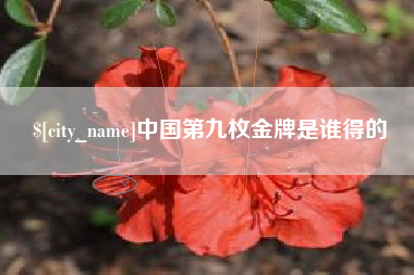 永康中国第九枚金牌是谁得的