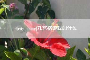 永康九宫格游戏叫什么
