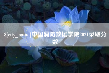 永康中国消防救援学院2021录取分数