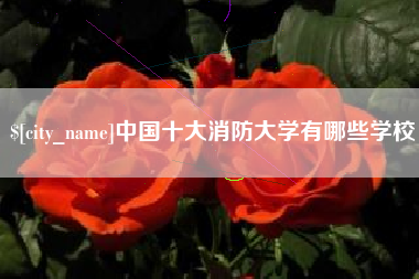 永康中国十大消防大学有哪些学校