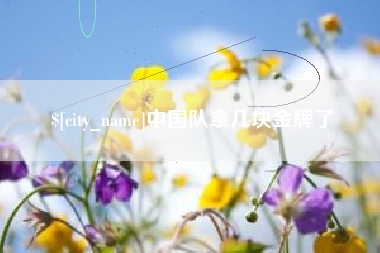 永康中国队拿几块金牌了