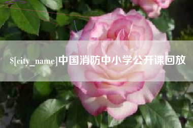 永康中国消防中小学公开课回放