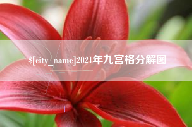 永康2021年九宫格分解图