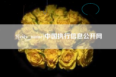 永康中国执行信息公开网