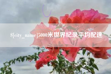 永康5000米世界纪录平均配速