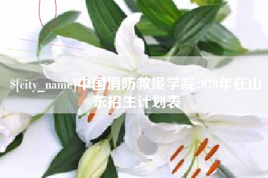 永康中国消防救援学院2020年在山东招生计划表