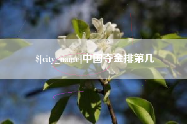 永康中国夺金排第几